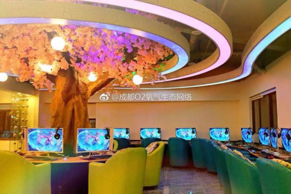 品茶深圳，享受慢生活养生之道(品茶 深圳)