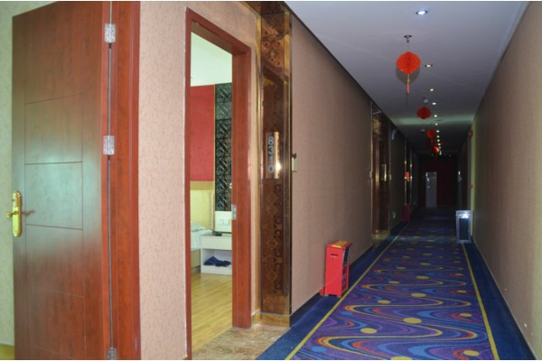 深圳夜市养生大排档，美食与健康的完美结合(深圳夜市大排档在哪里)